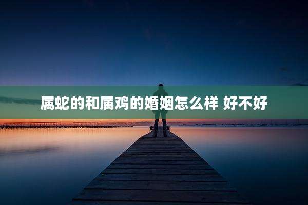 属蛇的和属鸡的婚姻怎么样 好不好