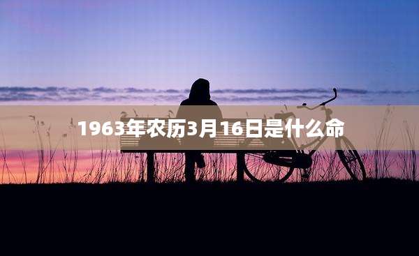 1963年农历3月16日是什么命