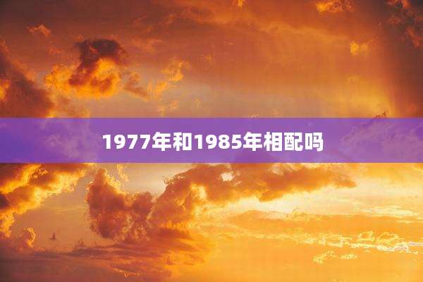 1977年和1985年相配吗