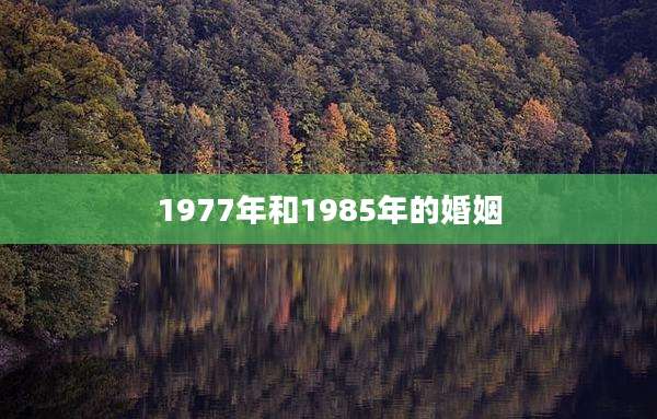 1977年和1985年的婚姻