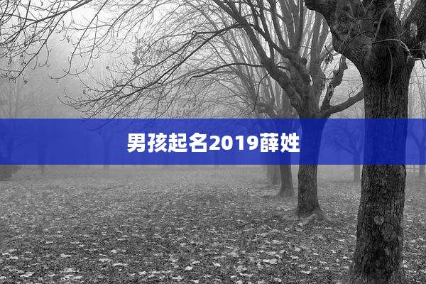 男孩起名2019薛姓