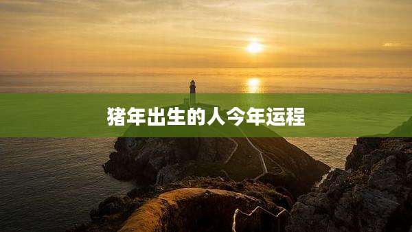 猪年出生的人今年运程