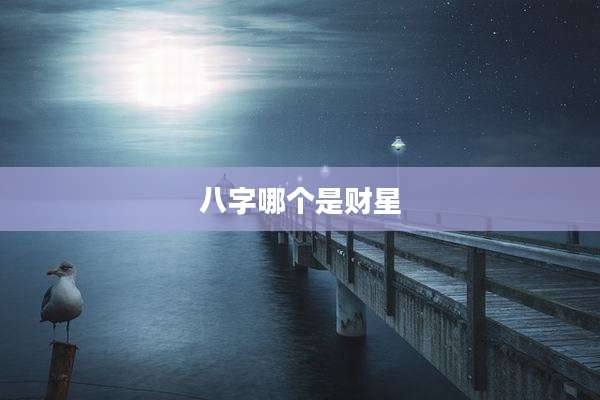 八字哪个是财星