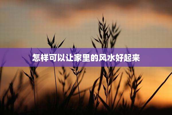 怎样可以让家里的风水好起来