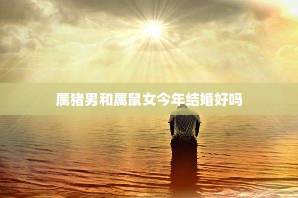 属猪男和属鼠女今年结婚好吗