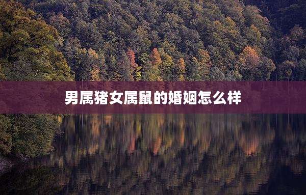 男属猪女属鼠的婚姻怎么样