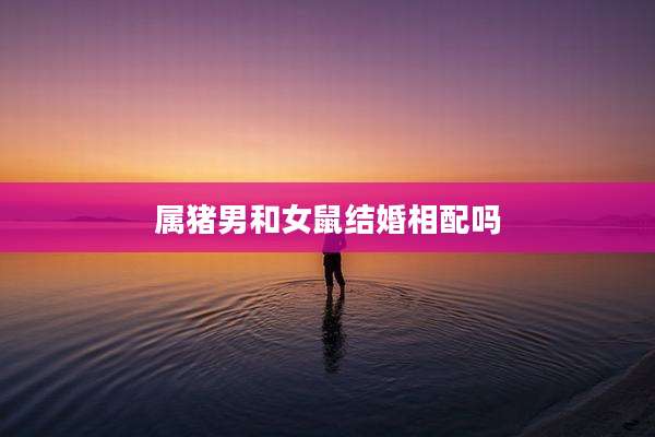 属猪男和女鼠结婚相配吗