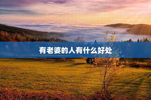 有老婆的人有什么好处