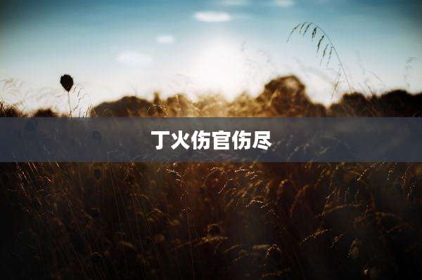 丁火伤官伤尽