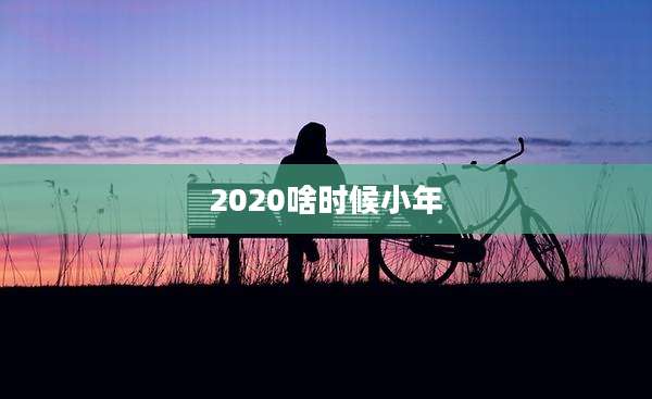 2020啥时候小年