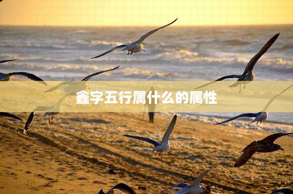 鑫字五行属什么的属性
