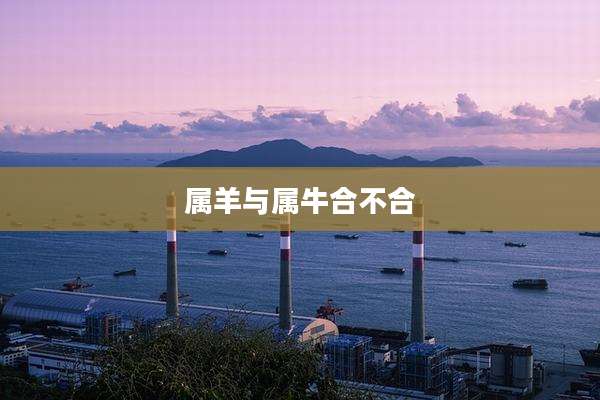 属羊与属牛合不合