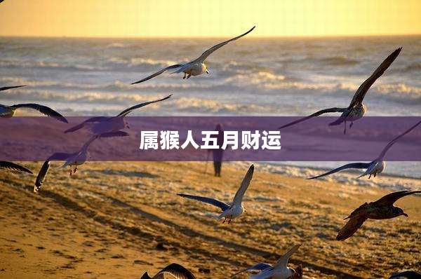 属猴人五月财运