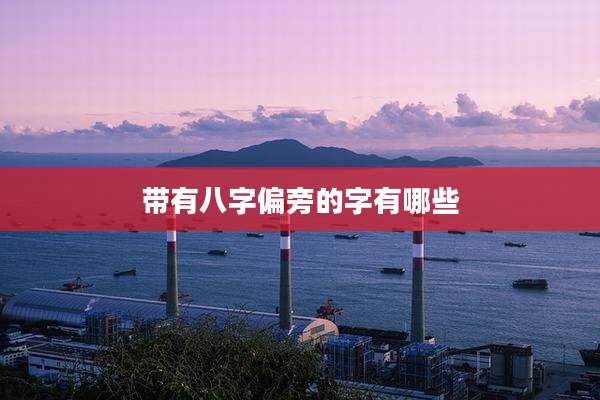 带有八字偏旁的字有哪些