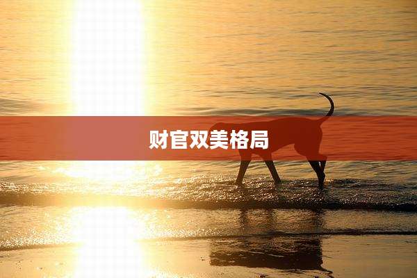 财官双美格局