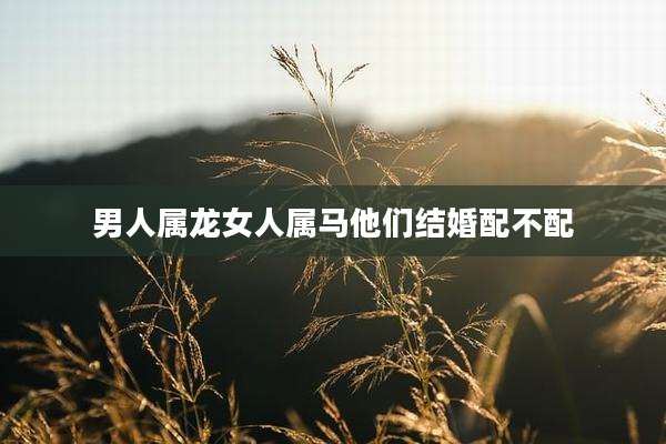 男人属龙女人属马他们结婚配不配