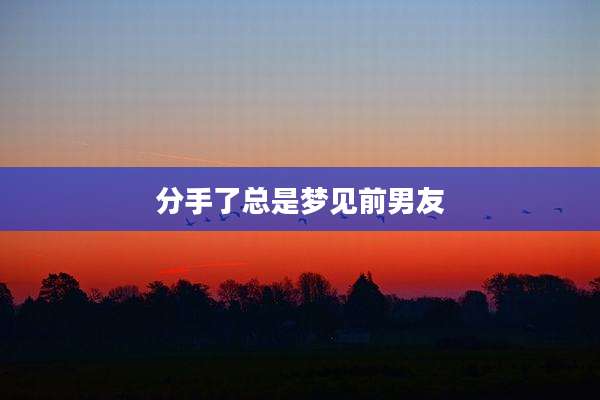 分手了总是梦见前男友