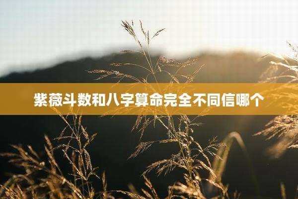 紫薇斗数和八字算命完全不同信哪个