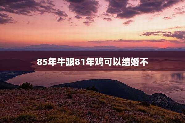 85年牛跟81年鸡可以结婚不