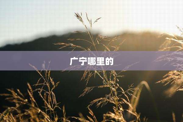 广宁哪里的