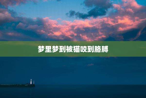 梦里梦到被猫咬到胳膊