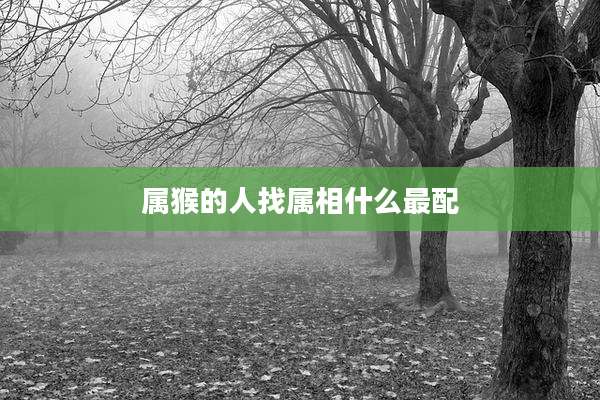 属猴的人找属相什么最配