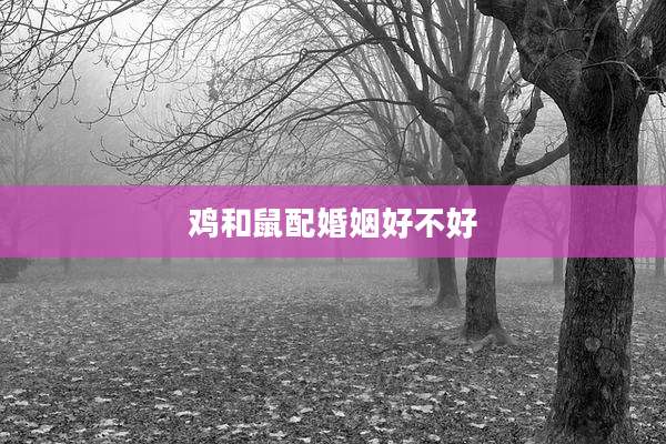 鸡和鼠配婚姻好不好