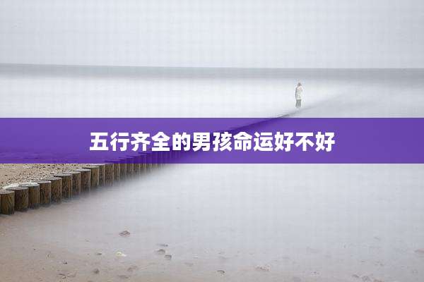 五行齐全的男孩命运好不好