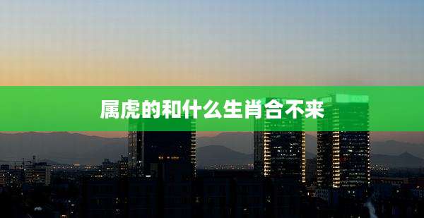 属虎的和什么生肖合不来