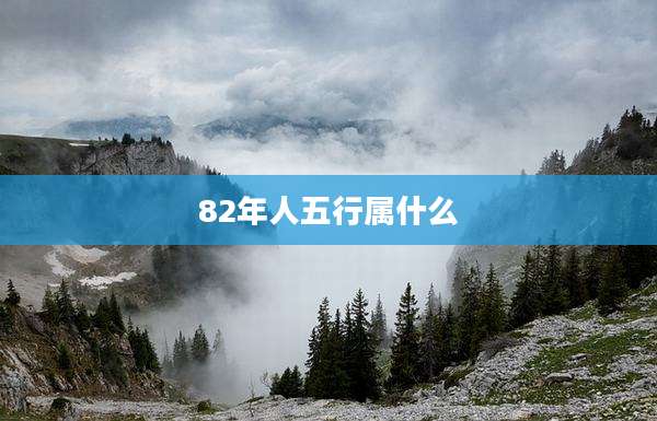 82年人五行属什么