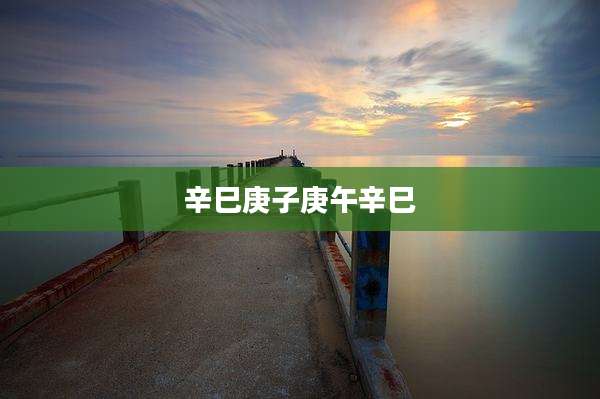 辛巳庚子庚午辛巳