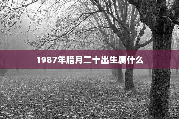 1987年腊月二十出生属什么