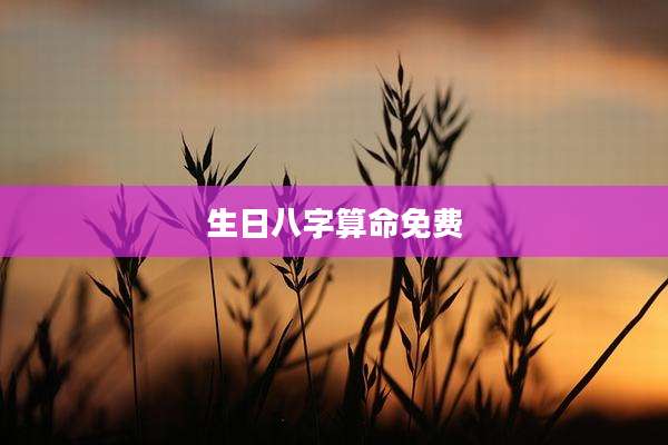 生日八字算命免费