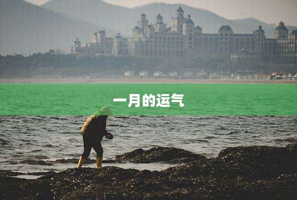 一月的运气