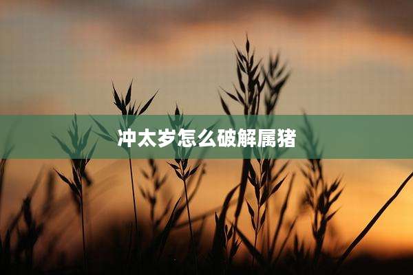 冲太岁怎么破解属猪