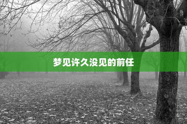 梦见许久没见的前任