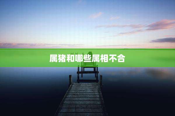 属猪和哪些属相不合