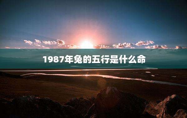 1987年兔的五行是什么命