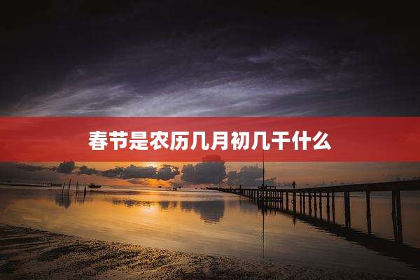 春节是农历几月初几干什么