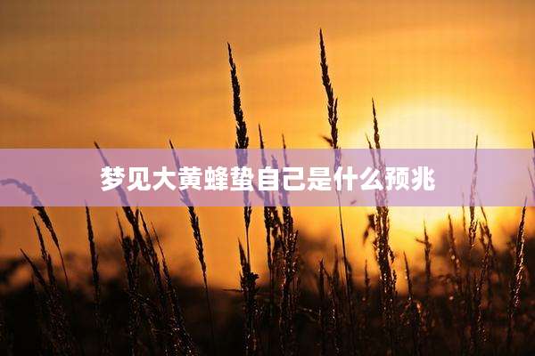 梦见大黄蜂蛰自己是什么预兆