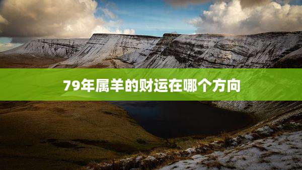 79年属羊的财运在哪个方向