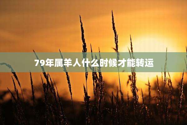 79年属羊人什么时候才能转运
