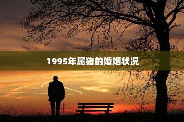 1995年属猪的婚姻状况