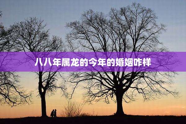 八八年属龙的今年的婚姻咋样