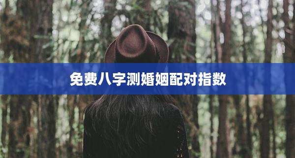 免费八字测婚姻配对指数