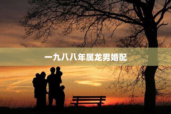 一九八八年属龙男婚配