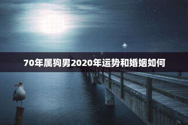 70年属狗男2020年运势和婚姻如何