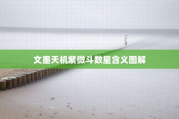 文墨天机紫微斗数星含义图解