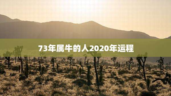 73年属牛的人2020年运程