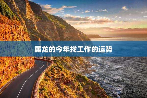 属龙的今年找工作的运势
